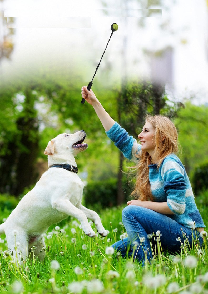 Ball thrower dog - dog toy - throwing stick - suitable for different balls - dog toy - size S