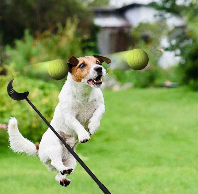 Ball thrower dog - dog toy - throwing stick - suitable for different balls - dog toy - size S