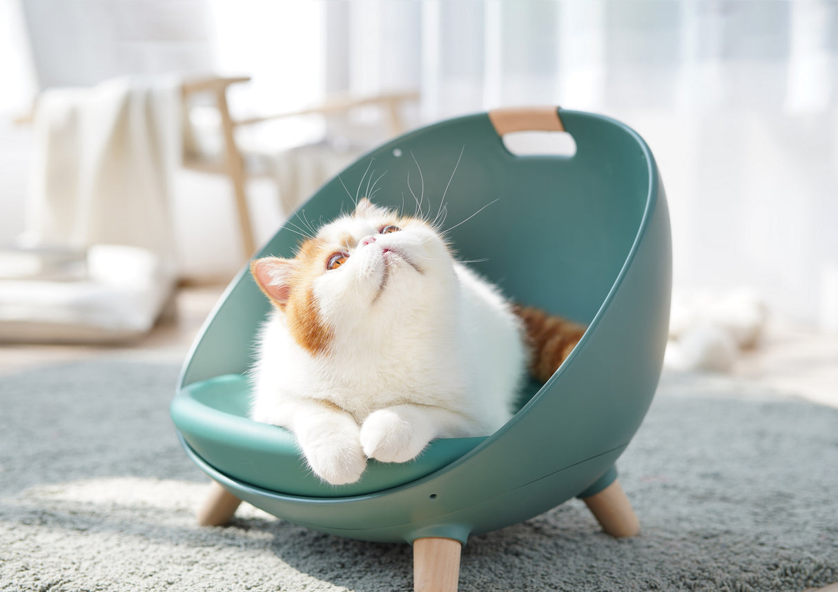 Kattenmand - Kattenbed - 4 in 1 ontwerp - Schommel - One Size Fits All SpirePets