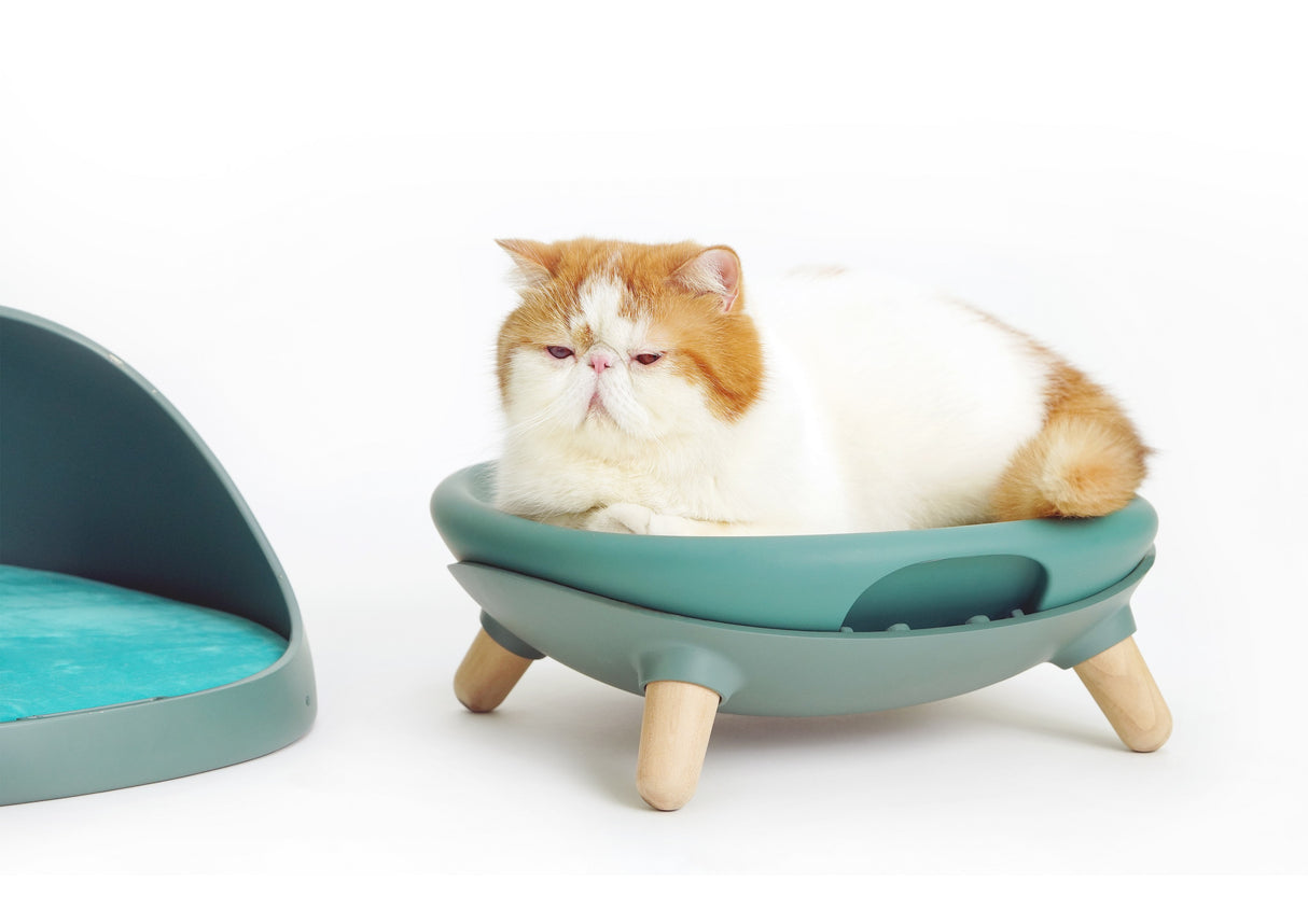 Kattenmand - Kattenbed - 4 in 1 ontwerp - Schommel - One Size Fits All SpirePets