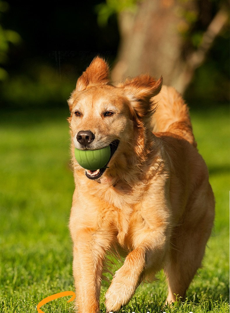 Ball thrower dog - dog toy - throwing stick - suitable for different balls - dog toy - size S