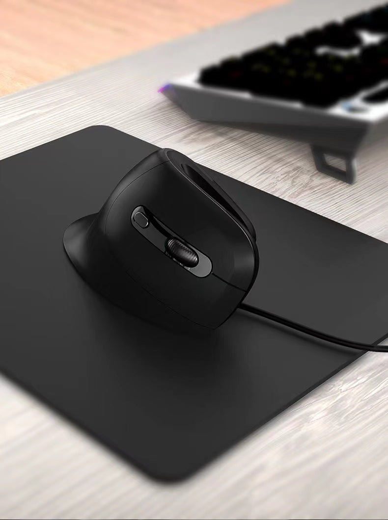 Delux Ergonomic mouse GX - Souris verticale sans fil - Droitier - Souris avec repose-poignet
