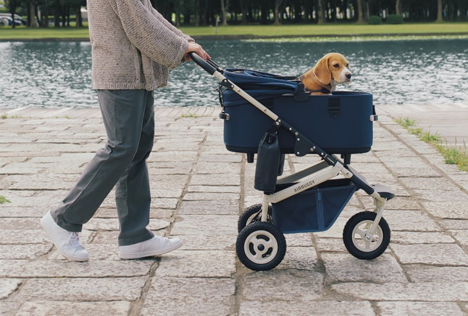 AirBuggy Dome 3 Large – Ivory White - Luxe huisdierbuggy