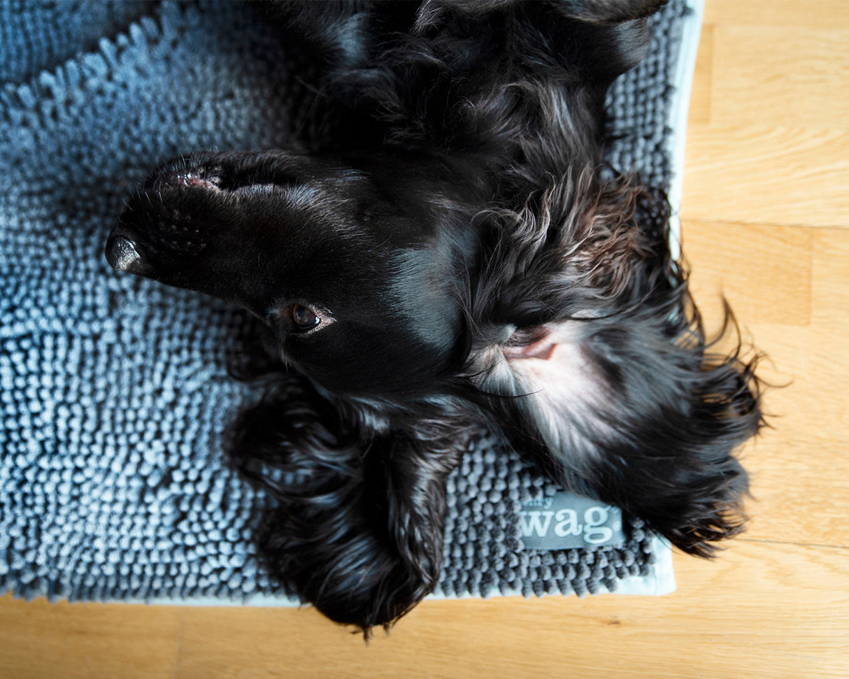 Noodle droogmat - Maat L – Voor een droge en schone hond SpirePets