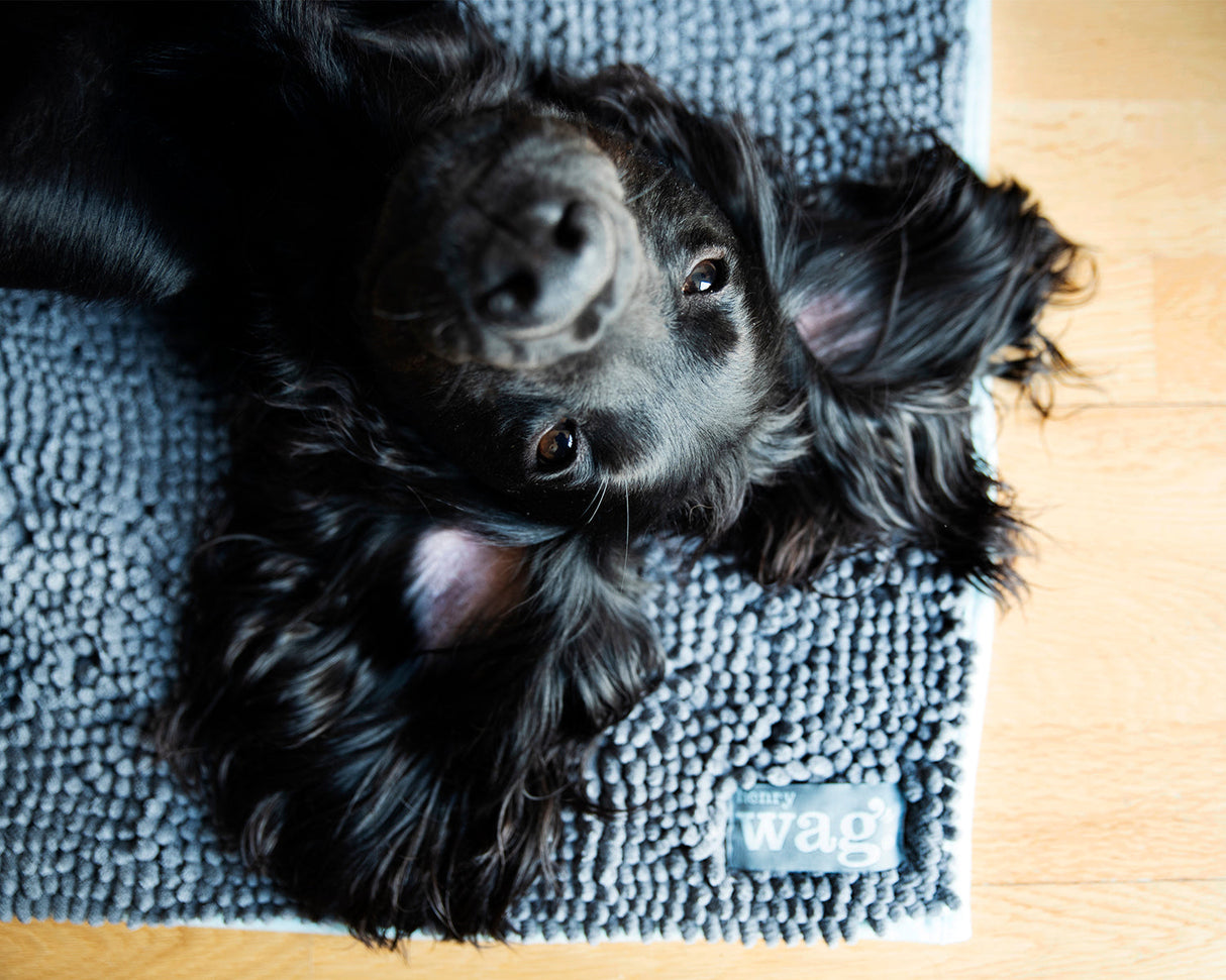 Noodle droogmat - Maat L – Voor een droge en schone hond SpirePets