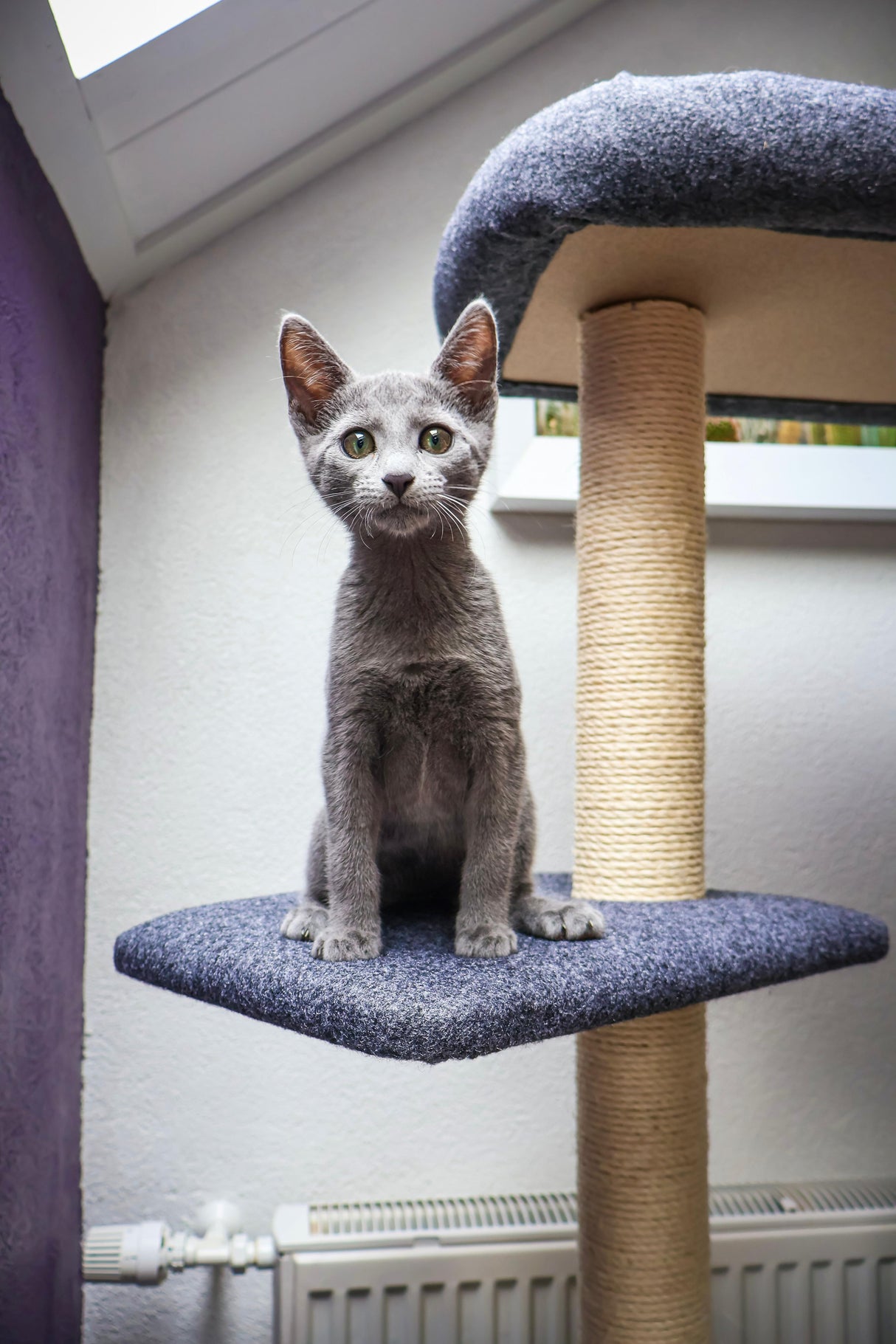 Katzenkratzbaum Cindy - Kletterbaum - Kratzmöbel - Grau