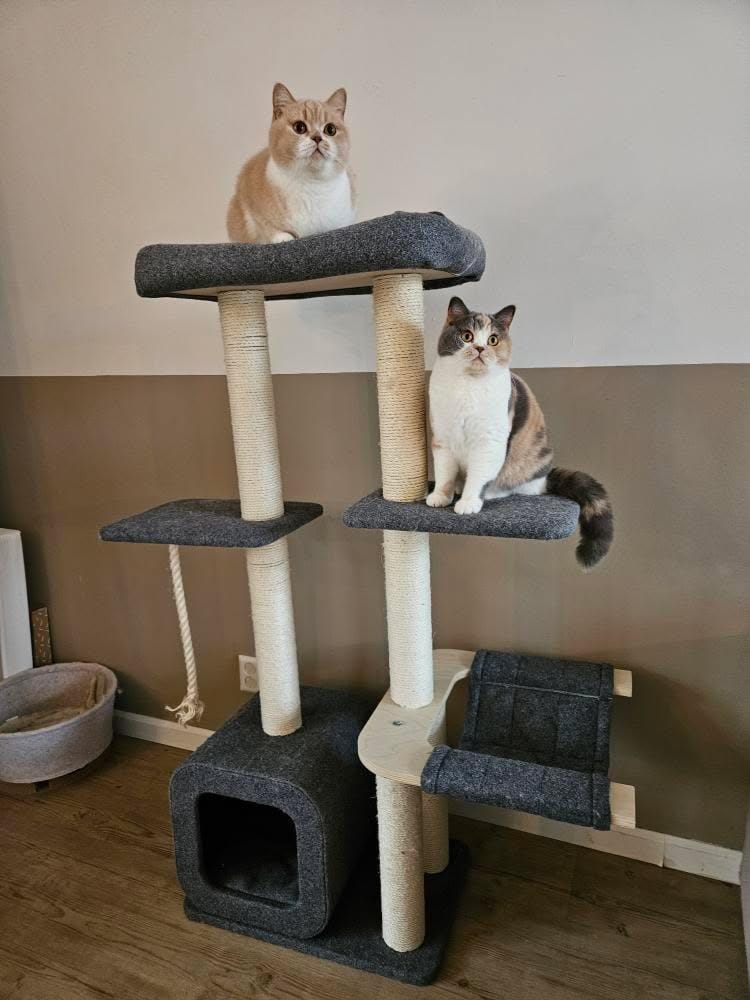 Katten krabpaal Cindy - klimboom - krabmeubel - grijs SpirePets