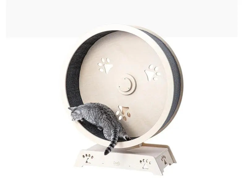 Katzenlaufrad – Laufrad für Katzen – Katzenrad aus massivem Birkenholz – Größe M