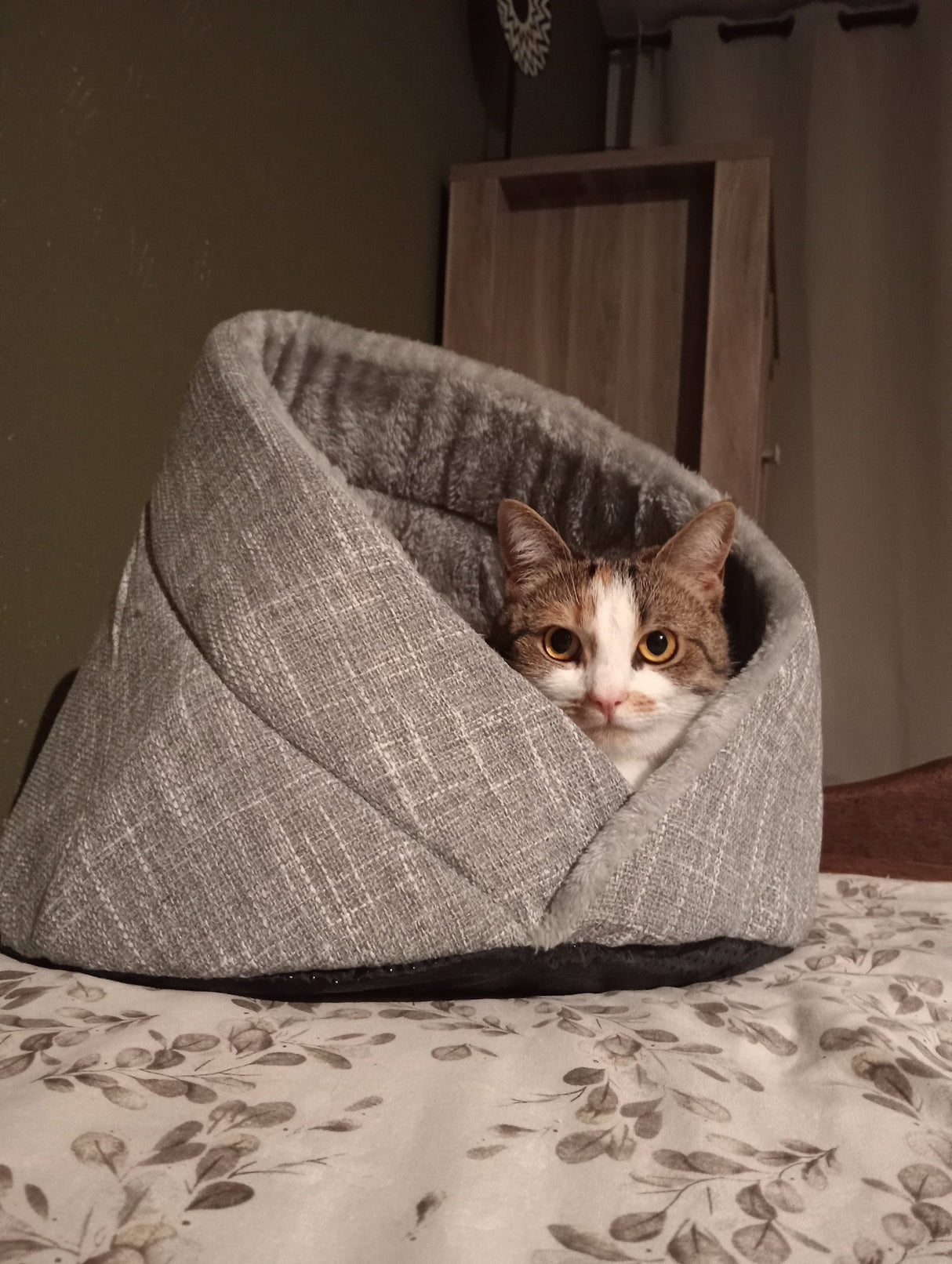 Momo kattenbed - makkelijk schoon te maken - perfect voor katten SpirePets