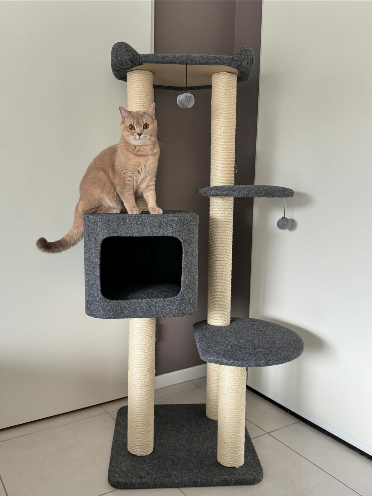 Luxe krabpaal voor katten - Cindy - 5 niveaus - sisal krab kolommen - pluche bed SpirePets