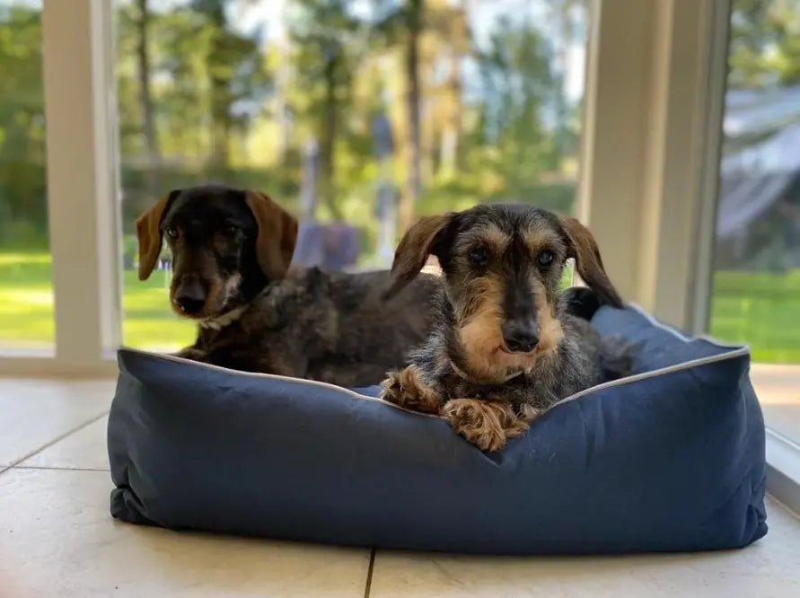 Waterbestendig Huisdierenbed Bastiaan | Anti-Slip Onderkant | Makkelijk Schoon te Maken | Donkergrijs | Maat S 30x25x14cm | Honden en Katten Coolgods