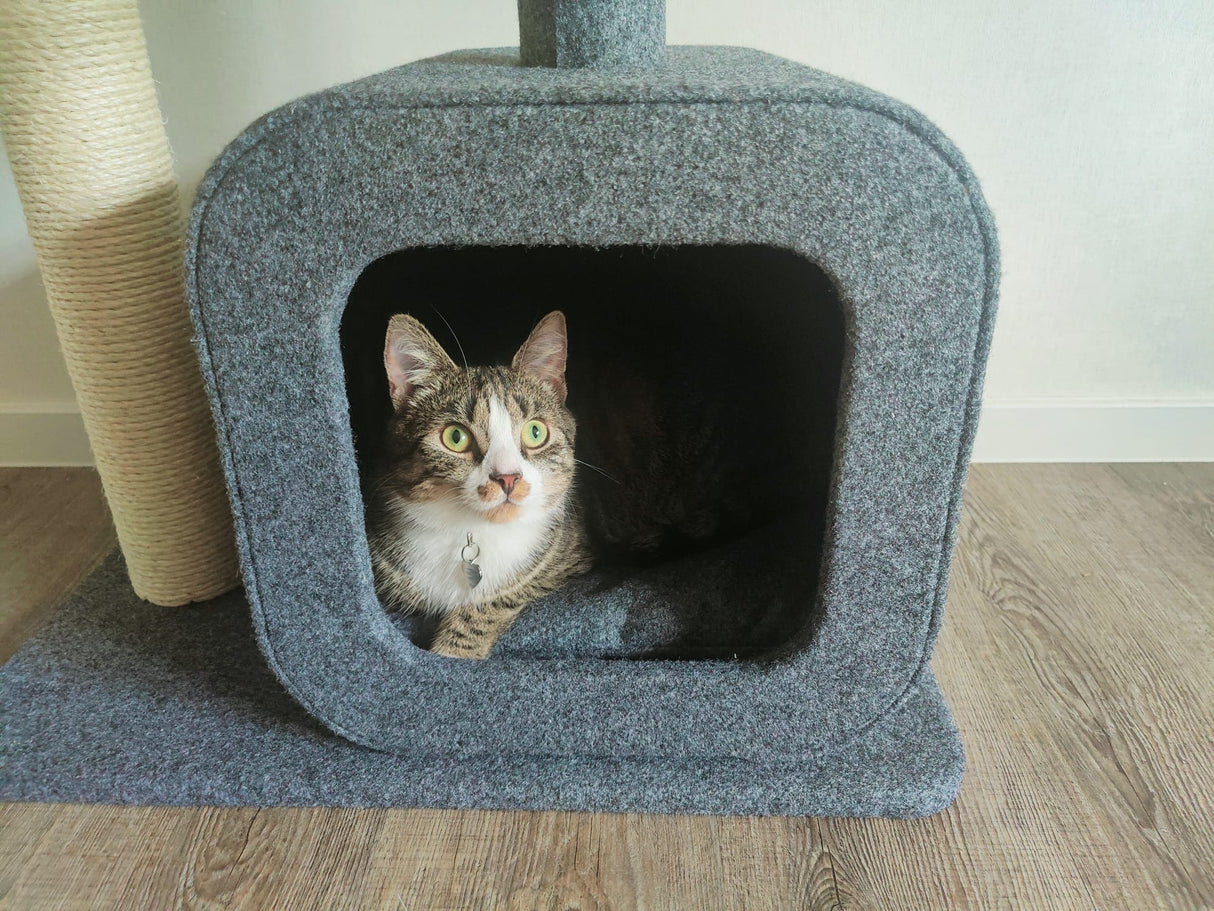 Krabpaal voor katten met huisje - 2 niveaus - gezellige slaapplek en springplatform