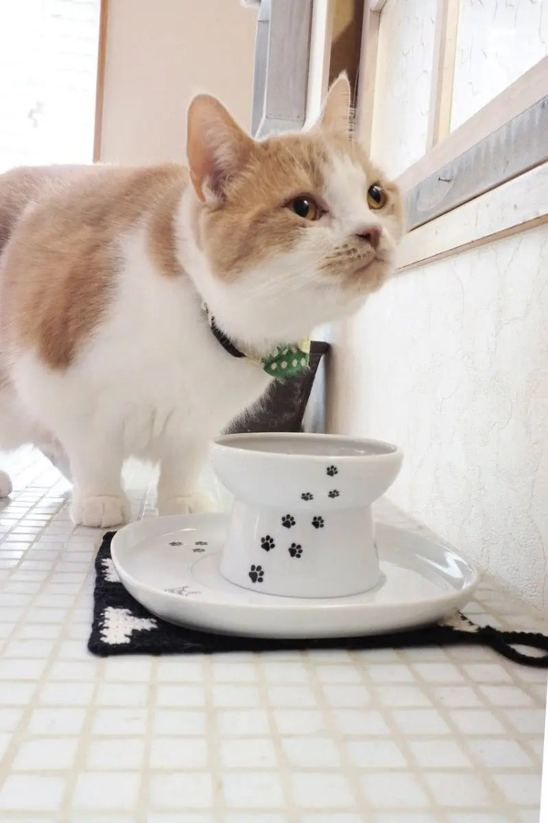 Voerbak dienblad (enkel) schotel voor voer- drinkschaaltje - 19.5 x 19.5 x 2 cm - Keramisch schoteltje Coolgods