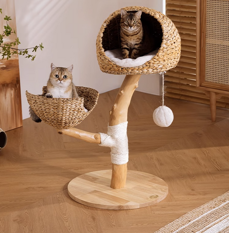 Kattenboom - klimrek voor katten - twee kattenmanden - volledig massief houten - geschikt voor 1-2 katten tot 8kg