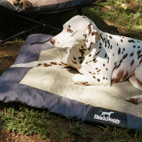 Honden Campingbed voor buiten - Waterdicht - Oprolbaar - Donkerblauw - Maat L - 120x90x4cm (LxBxH) SpirePets