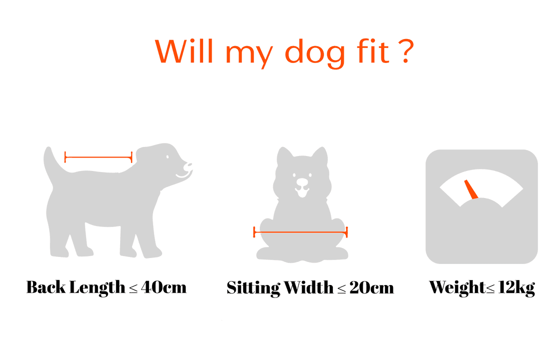 Brooke & Breeze Canine Copilot - Amber Light Orange Brooke & Breeze