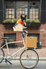 Brooke & Breeze Canine Copilot - Crème Beige Brooke & Breeze