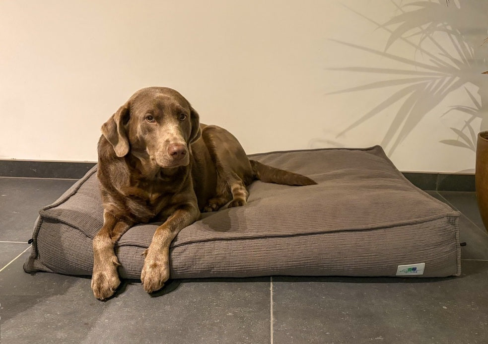 Hondenkussen Joey - Ribcord met deken - maat M SpirePets