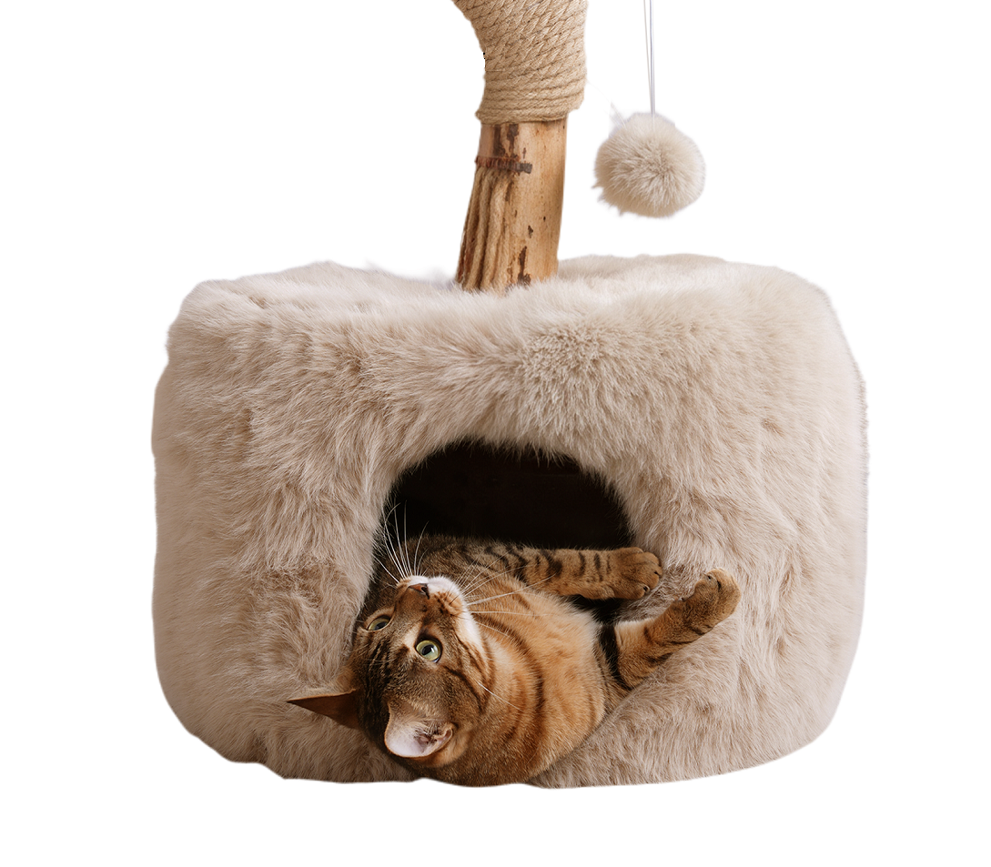 ISLA krabpaal met kattenhuis en kattenmand SpirePets