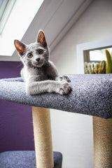 Cat Scratching Post - Climbing Tree - Gray - 50 x 38 x140 cm