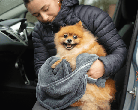 Henry Wag Microvezel Droogzak voor Honden – Maat S
