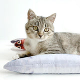 Kattenspeelgoed - GoudVis - Gevuld met kattenkruid - 16*3*5cm (LxBxH) SPIRE-PETS
