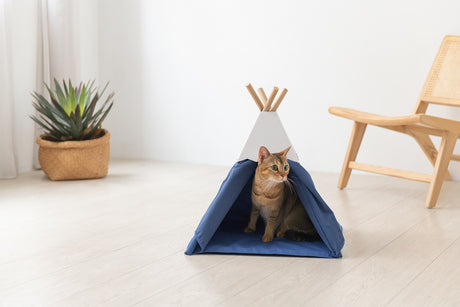 Tipi Kattenmand - Kattentent - Tipi tent voor katten - 52x55x55cm - Blauw SpirePets