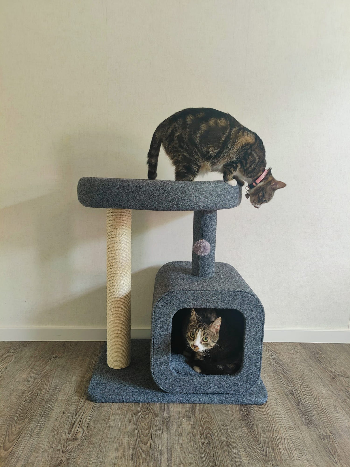 Krabpaal voor katten met huisje - 2 niveaus - gezellige slaapplek en springplatform