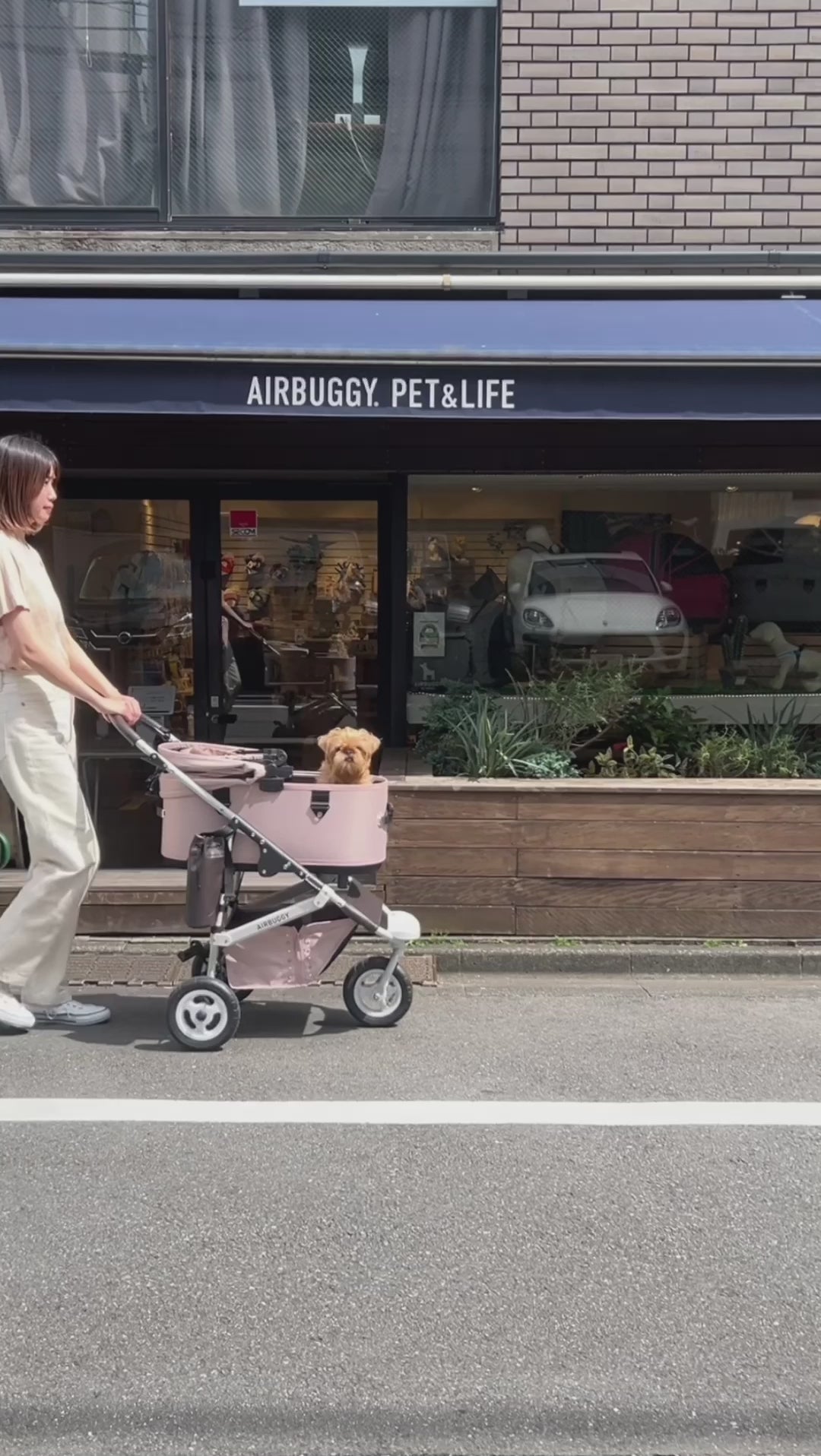 AirBuggy Dome 3 Large – Grass Green – luxe hondenbuggy kattenbuggy