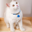 Halsband katten blauw met bel - Japans - verstelbaar in lengte - 29 tot 36 cm - kattehalsband - halsbandje Coolgods